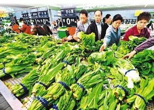 春節(jié)前菜市場探秘 蔬菜、水產(chǎn)、肉類價(jià)格與供應(yīng)全解析